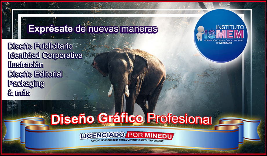Diseño grafico elefante